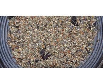 Agapornide speciaal new