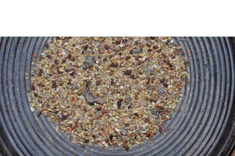 Agapornide vruchten mix new