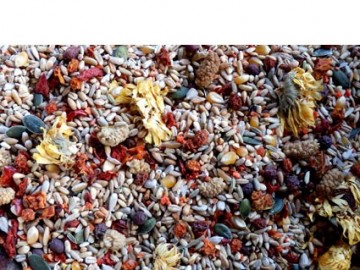 Amazone provital new