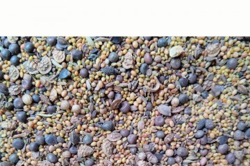 Bloemen kruiden en wilde zaden mengsel