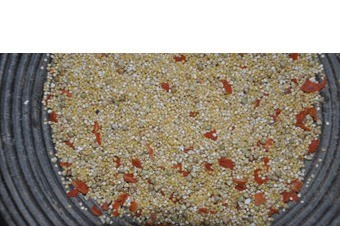 Gierst wortel kookpotje new