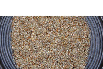 Grasparkiet mix 2 new