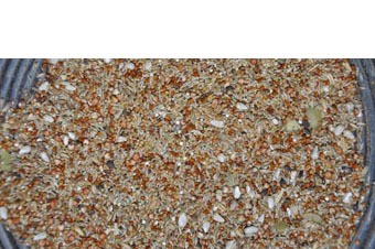 Grote parkiet vital mix new