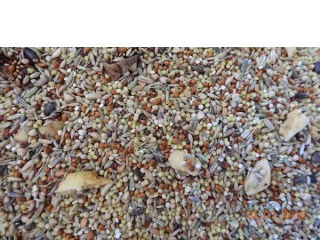 Grote parkiet vruchten mix new