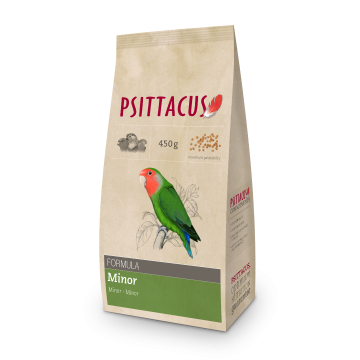 Maintenace minor formula 450 gram 0