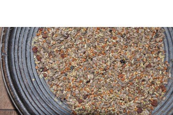 Maria distel kuur new 1