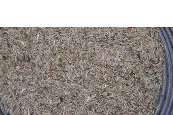 Organic grasparkiet grasmix new