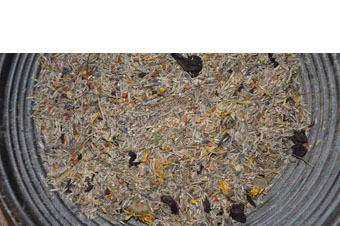 Organic zomerbloem mix new