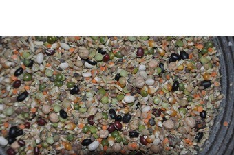 Peulvruchten granen kookpotje new