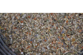 Valkparkiet kruiden mix new