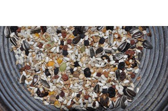 Zomervruchten mix new