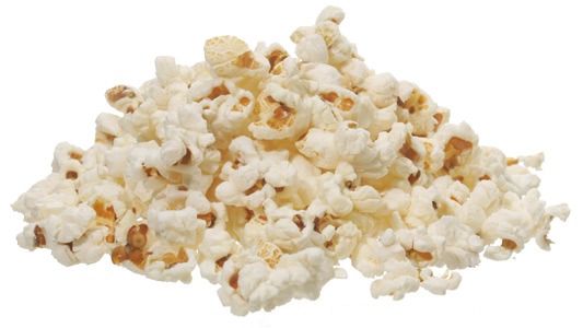 jurk lava Afscheiden Bird Popcorn Naturel BIO 30 gram - Parrot Paradise